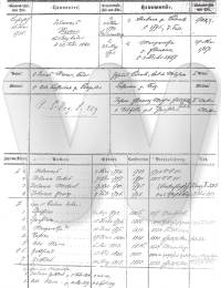 Fam Register Krehenhof-Steinenberg Bd. III, S 82 - Johannes Steiner - oo 1773 - Barbara Kuonle