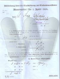 Steuerzettel für Anna Eisebraun für das Jahr 1918 als Dienstmädchen